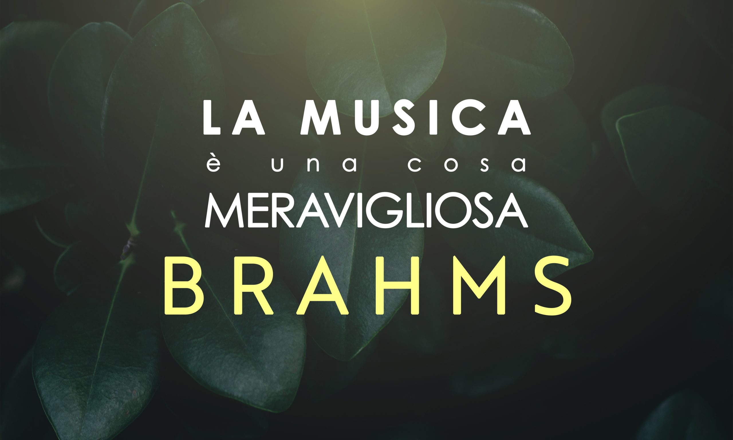La Musica è una cosa Meravigliosa: Johannes Brahms