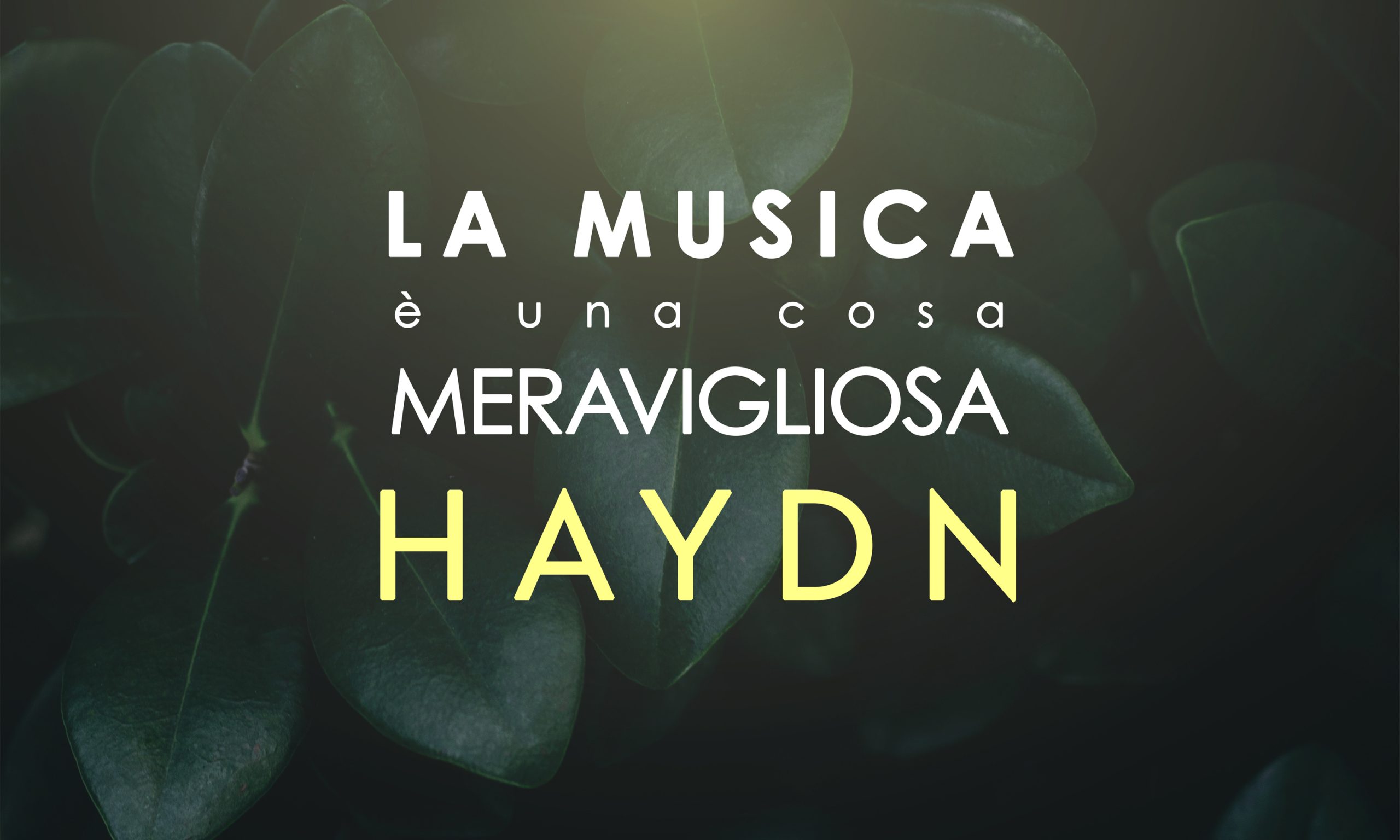 La Musica è una cosa Meravigliosa: Franz Joseph Haydn