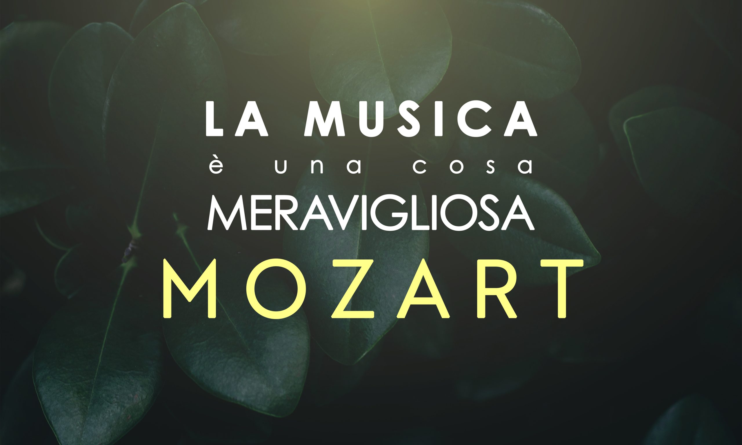 La Musica è una cosa Meravigliosa: Wolfgang Amadeus Mozart